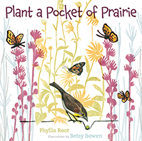 Plant a Pocket full of Prairie